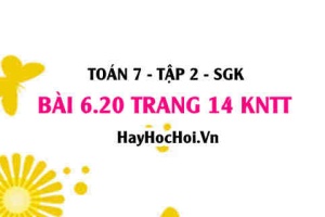 Bài 6.20 trang 14 Toán 7 Tập 2 Kết nối tri thức
